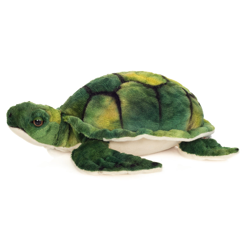Tortuga de agua 23 cm