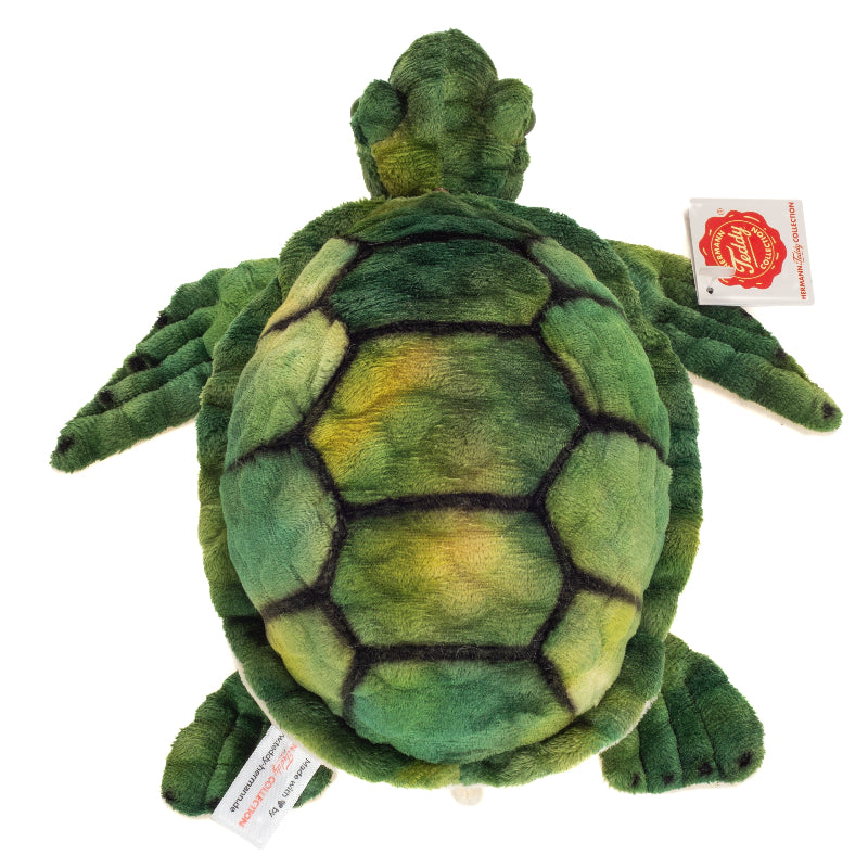 Tortuga de agua 23 cm