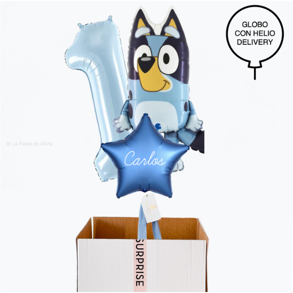 Buquê de balões de aniversário inflados Bluey