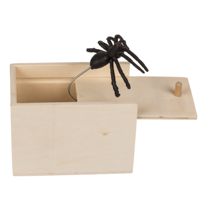 Wooden box with Jumping spider
