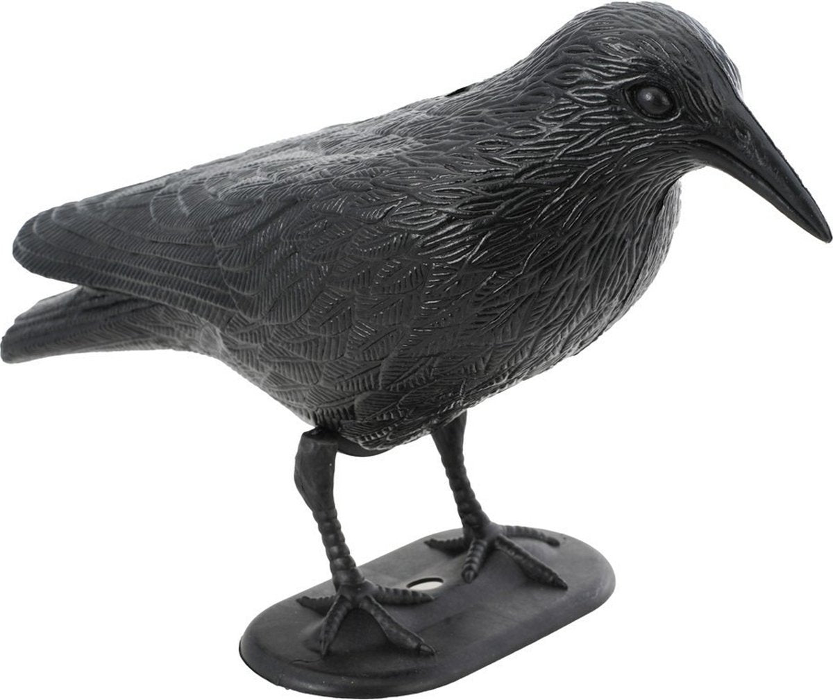 cuervo-decorativo-negro-con-base-negro-plastico-chaks
