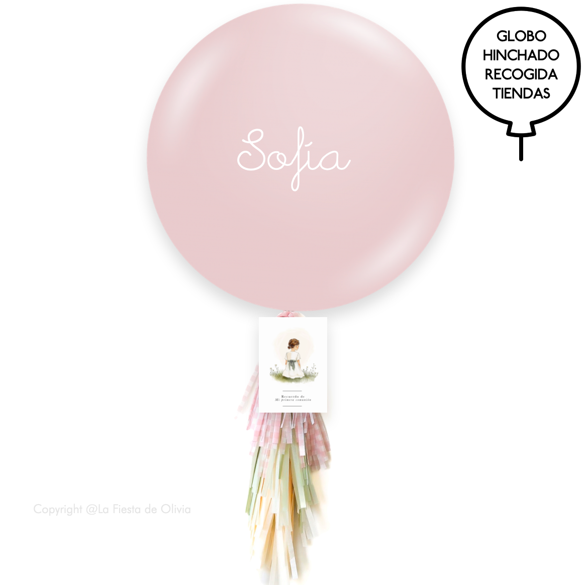 FULL ROSE SOUVENIR MEMORY balloon 