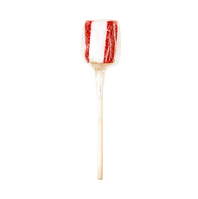 fruit lollipop