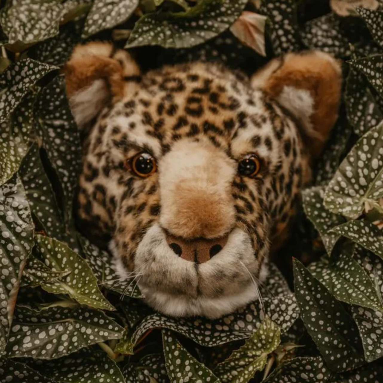 Cabeza de peluche Leopardo