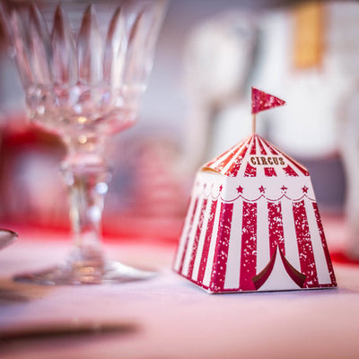 Caixas de detalhes de circo vintage / 8 peças.