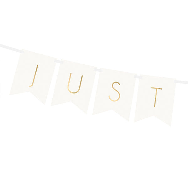 Just Married basic pennant garland