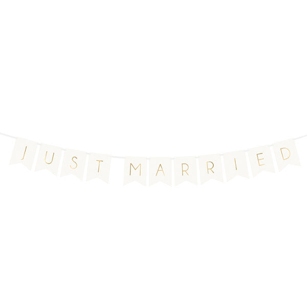 Just Married basic pennant garland