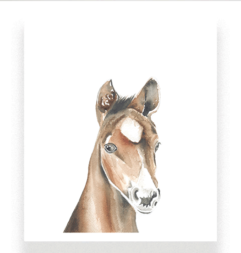 watercolor horse art print