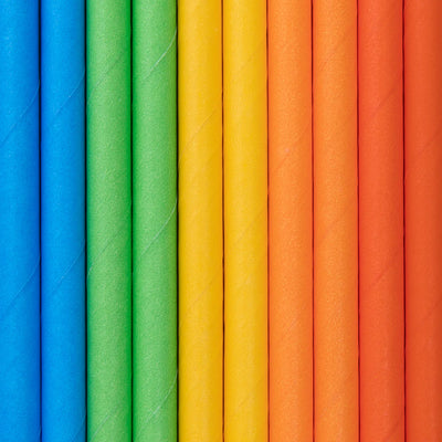 Palhinhas de papel de mistura de arco-íris / 10 pcs.